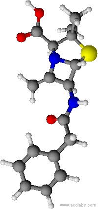 Protein
